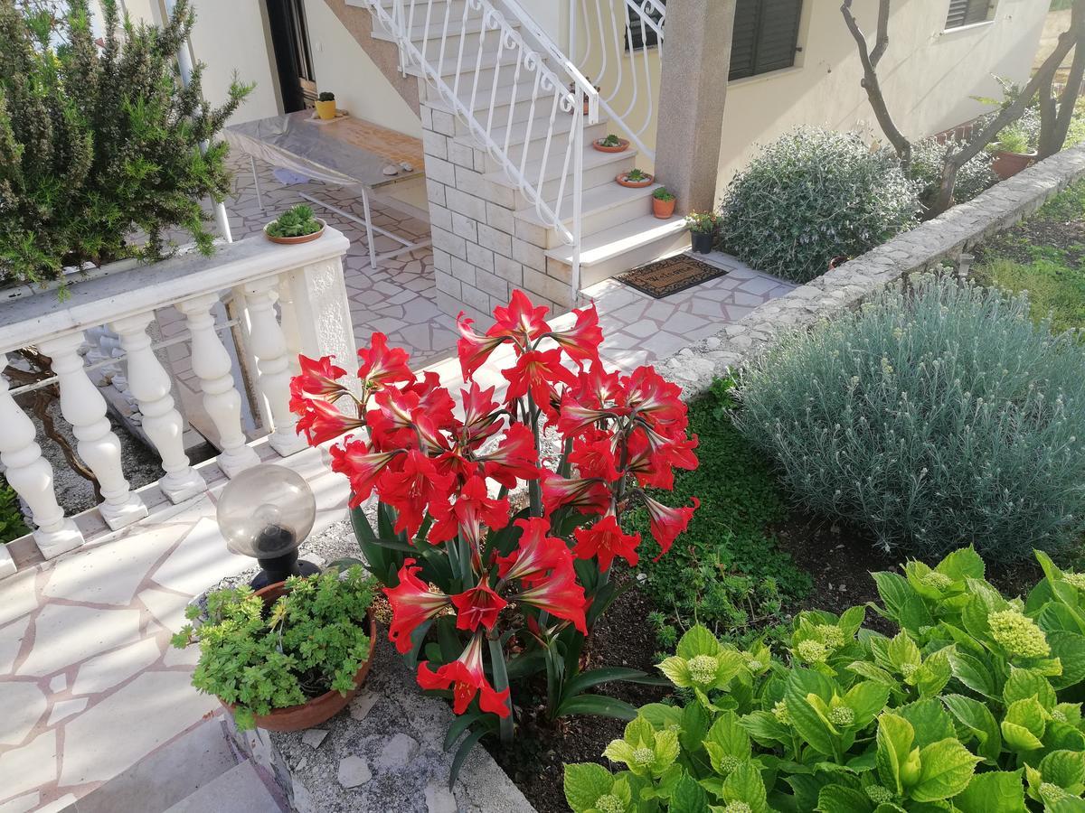 Apartment Cactus Donji Okrug  외부 사진